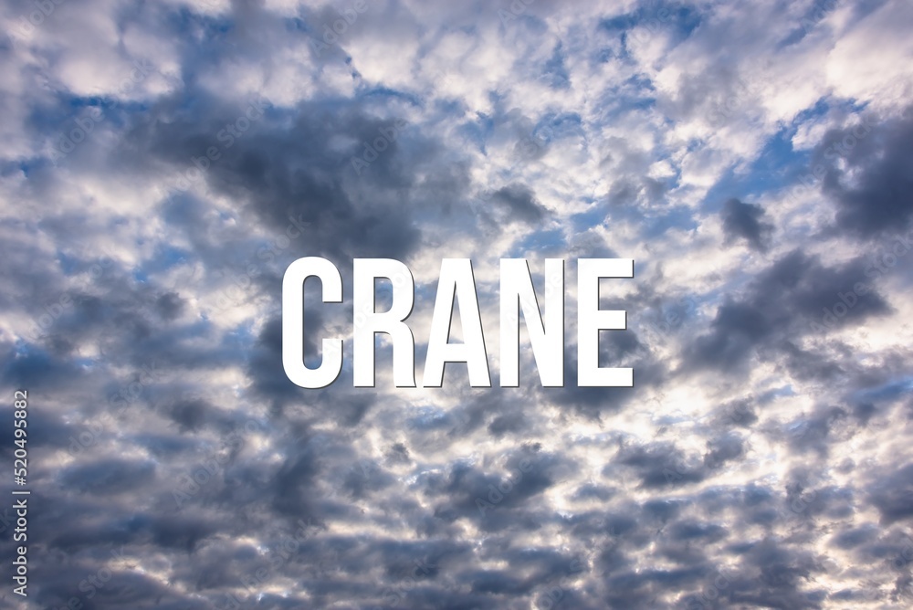 CRANE - word on the background of the sky with clouds.