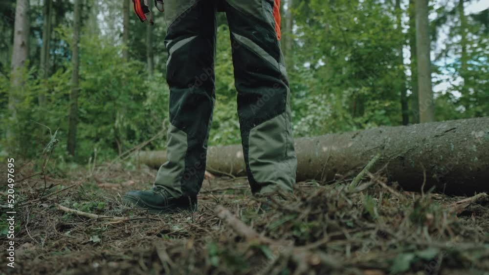 Female logger stands in the forest, young specialist woman in protective gear holds an axe in her hands and works on deforestation.