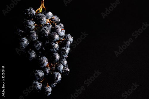Obraz na plátně red wine grapes on black backround