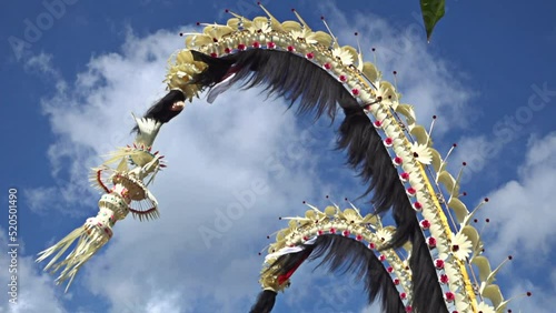 Bamboo pole decorated with coconut leafs and offerings at the end (Penjor), put for the main balinese ceremonies, slow motion photo