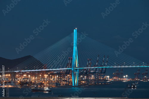 Night Suspension Bridge with City Lights, Urban Landmark Skyline