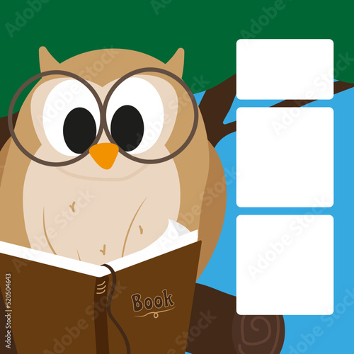 owl