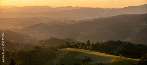 Fototapeta Naklejka Na Ścianę i Meble -  Landscape of the foothills near Nowy Sacz in Poland reminiscent of Italian Tuscany