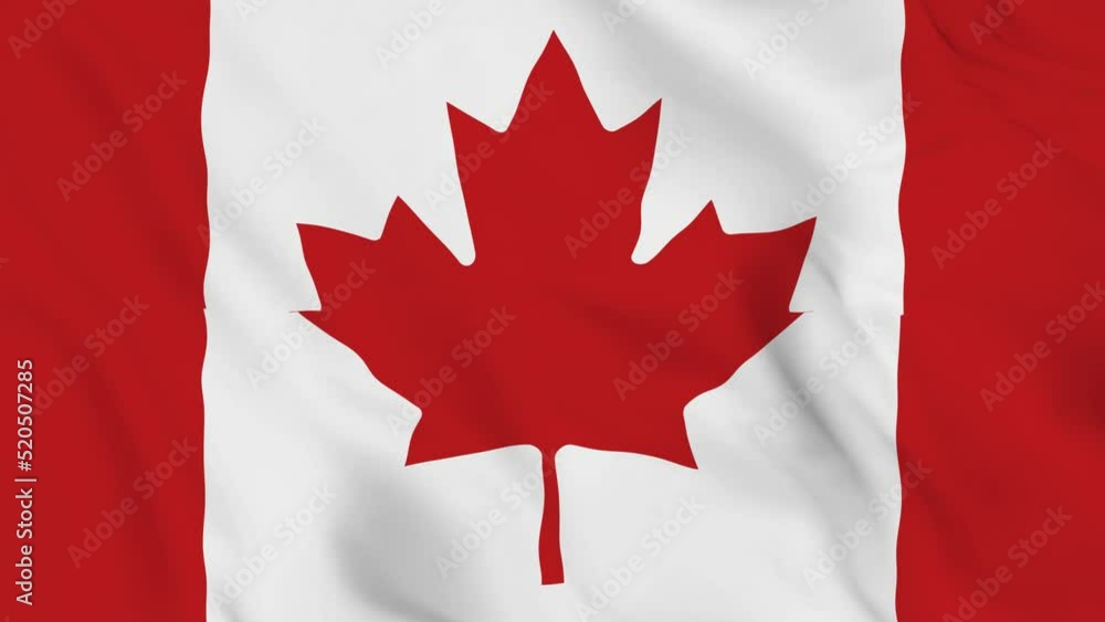 realistic Canada waving flag. smooth 4k video seemless loop realistic Canada waving flag. smooth 4k video seemless loop