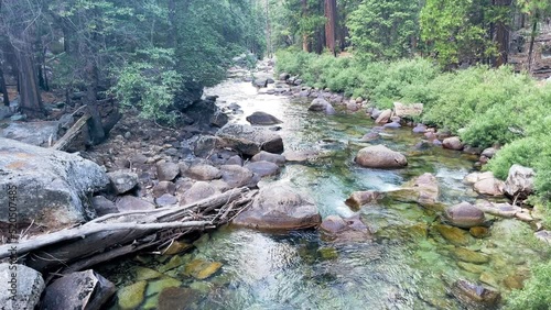 small river flows through forest in sequoia national park.