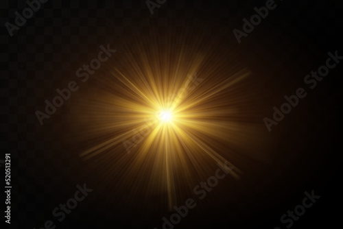 Shining golden stars isolated on black background. Effects, glare, lines, glitter, explosion, golden light. Vector illustration