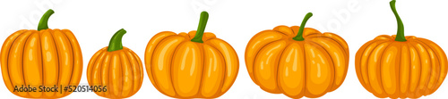 orange pumpkins in flat style, isolated, vector