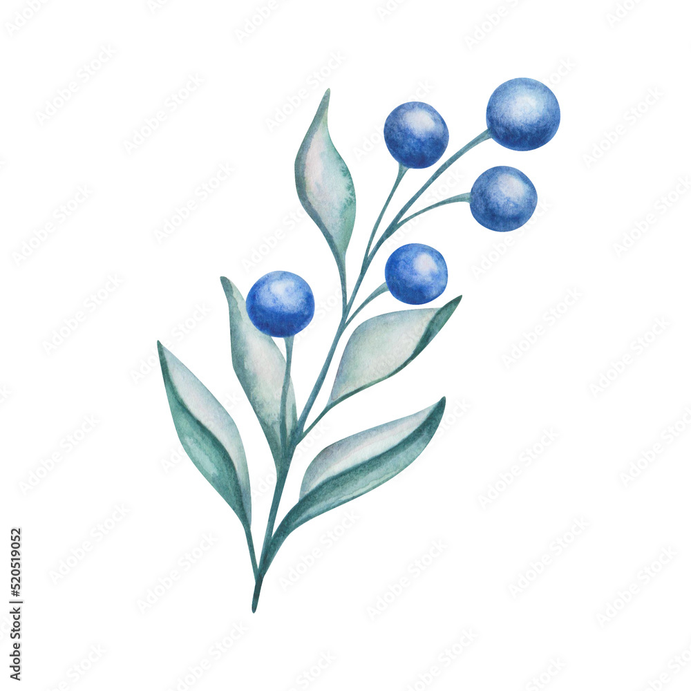 Obraz premium Watercolor illustration of hand painted branch with blueberries and leaves in green, blue colors. Summer, autumn harvest. Forest foliage. Isolated clip art for pattern making, textile prints, poster