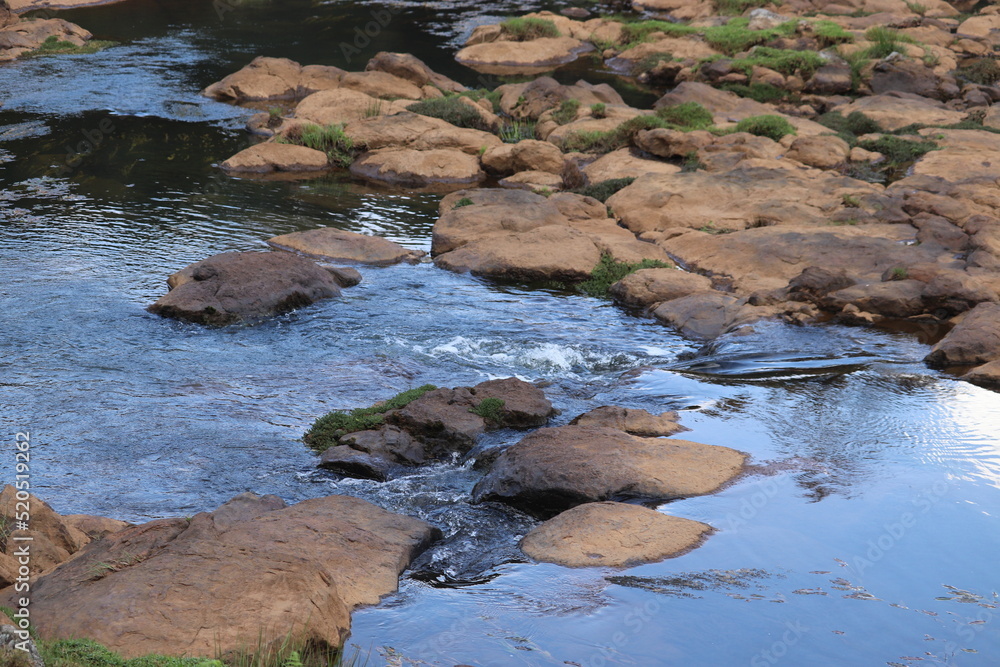 Fototapeta premium River Flow in the middle of a forest