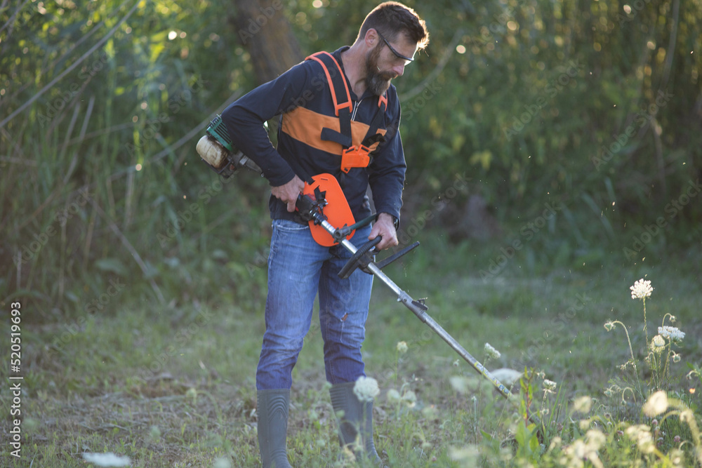Obraz premium man trimming weed with weed trimmer in summer