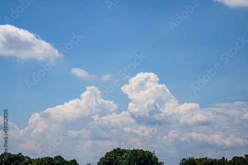 青い空と夏の白い雲 © Gottchin Nao