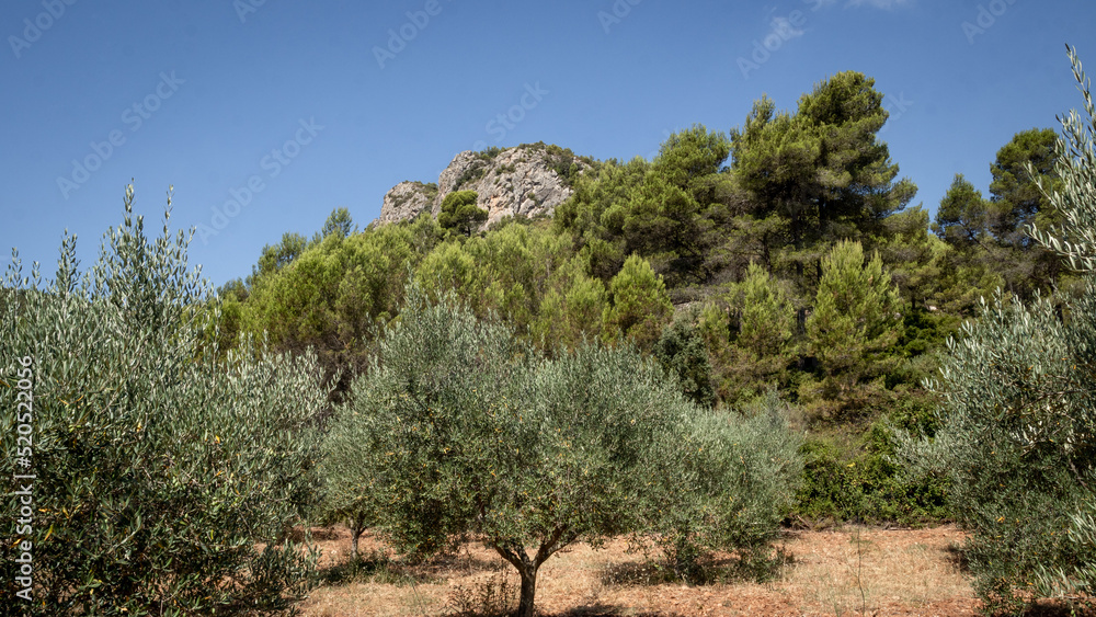 Fototapeta premium Mountains, rocks and landscapes of the Sierra Calderona natural national park in the community of Valencia Spain.