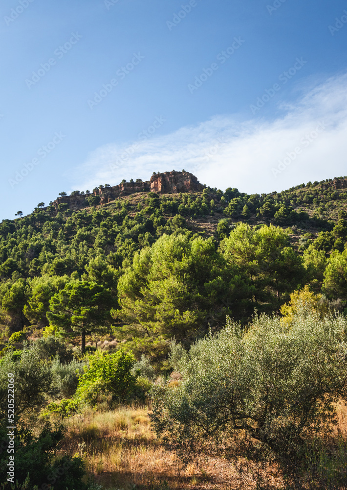 Mountains, rocks and landscapes of the Sierra Calderona natural national park in the community of Valencia Spain.