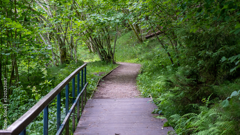 Tourist walking path through the forest. The wooden footbridge ended, a gravel road began. Tourist walking path through the forest. The wooden footbridge ended, a gravel road began.