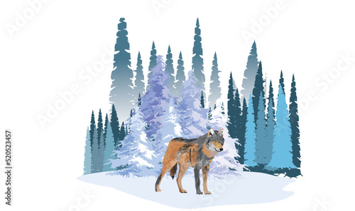Wolf stand in the winter snowy northern forest vector