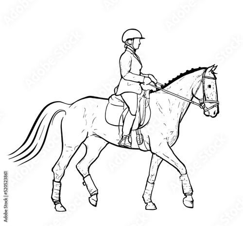 dressage training woman riding on horse, horseback riding outline drawing on white
