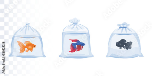 Fish transport in a plastic bag
