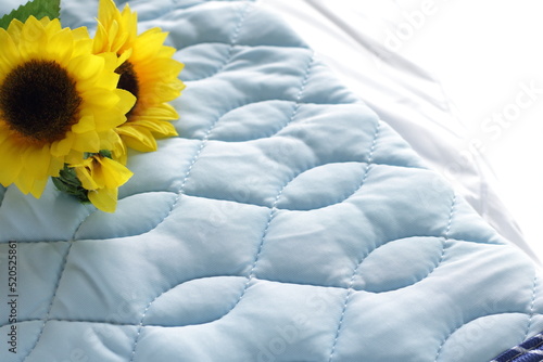 Summer interior quilt comforter in light blue color