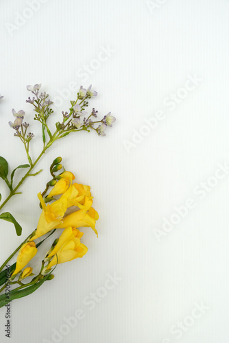 Artificial Plastic Flowers on a White Background