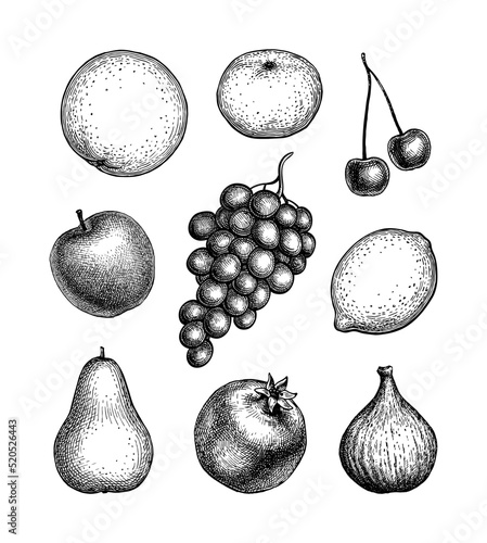 Fruits ink sketches.