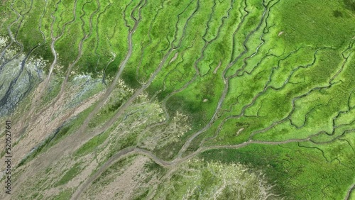 Wallpaper Mural Satellite-like view of striking river delta in Oostvoorne, Netherlands Torontodigital.ca