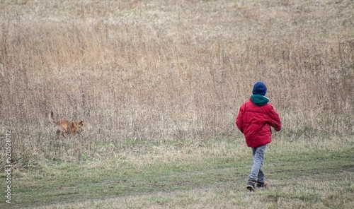 Fotografia Small boy on a walk with his trusty dog in empty field