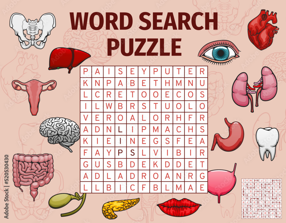 Human organs, body parts word search puzzle game worksheet, vector quiz.  Medical riddle grid to search