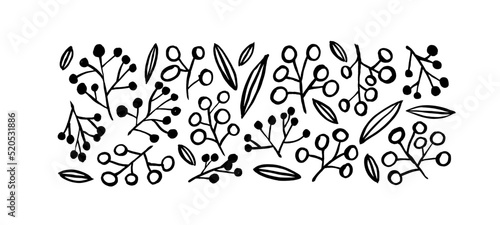 Set of winter branches and berries vector elements. Hand drawn rustic drawing. Line botanical plant clipart. Black outline winter twigs and sprigs. Vector decorative cute collection isolated on white.