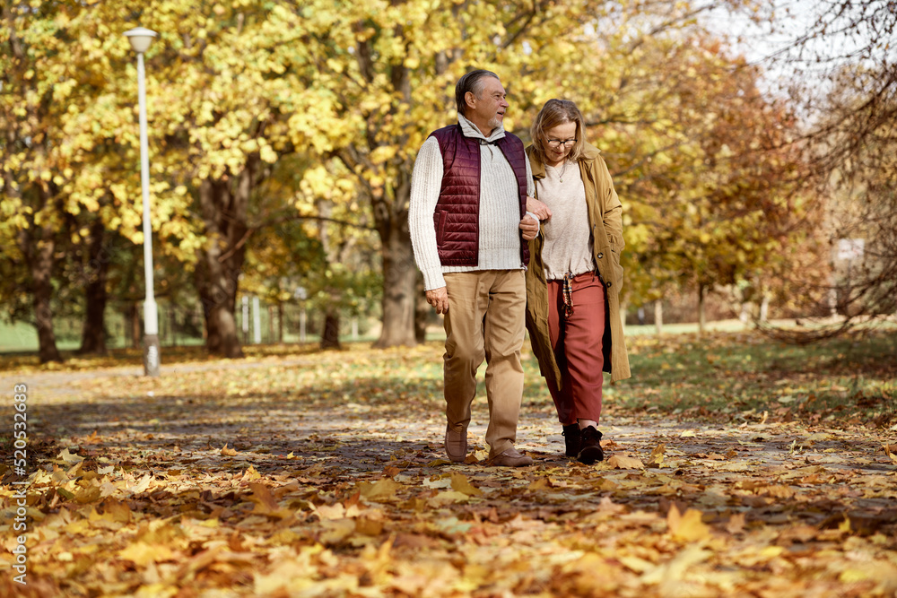 Senior woman and man walking together at the park during the autumn Senior woman and man walking together at the park during the autumn