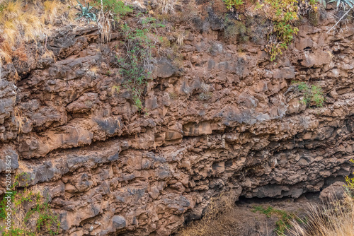 Brown mineral formations on the surface of a cliff on the island of Tenerife, Spain. Natural wall with exotic plants in the Canary Islands. Geological background