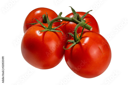 Tomato branch on white