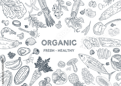 Healthy eating. Organic food illustration. Healthy food frame vector illustration. Vegetables, fruits and meat. Hand drawn sketch.