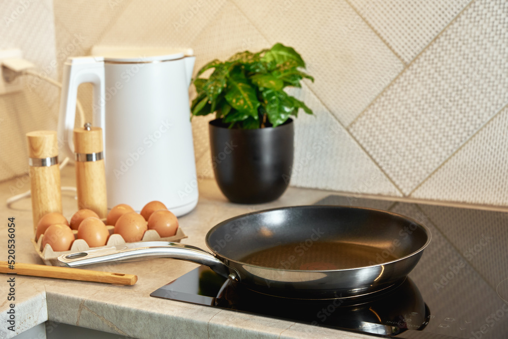 Modern kitchen appliance, Induction stove with steel frying pan Modern kitchen appliance, Induction stove with steel frying pan