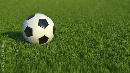 Close-up view of a soccer ball on the field. Football on the grass, with copy space. © angelo sarnacchiaro