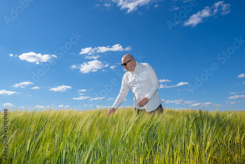 Businessman in wheat field. Man in shirt touches spikelets wheat. Agricultural business owner. Owner grain growing company. Manager agricultural company. Sky over wheat field. Agricultural industry