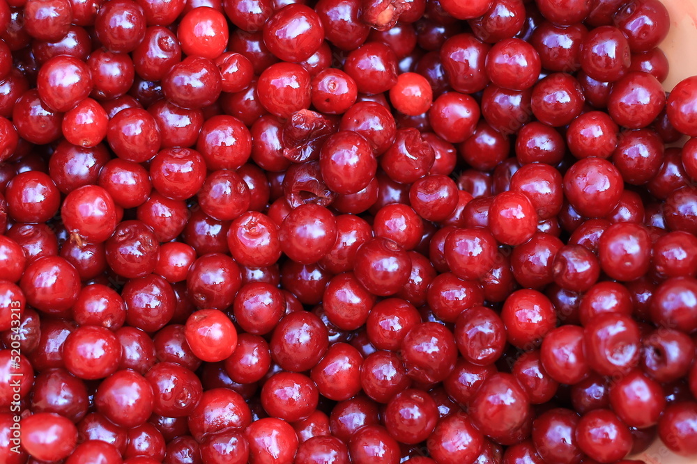 Sour cherry for jam Sour cherry for jam