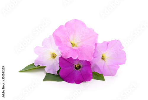 Bouquet of purple petunia.