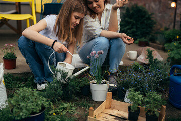 close up of mother and daughter gardening houseplant in garden. daughter helping her mother watering plants