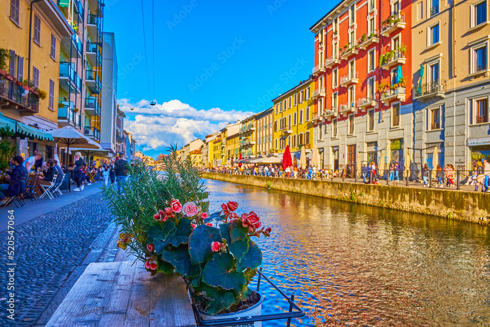 The flowers in the pots on the bank of Naviglio Grande Canal in Milan, Italy