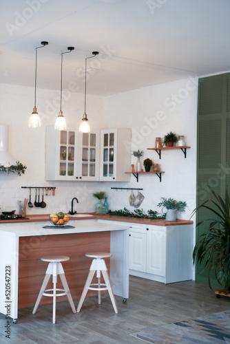 Modern Kitchen Interior with Island, Sink, Cabinets in New Luxury Home.