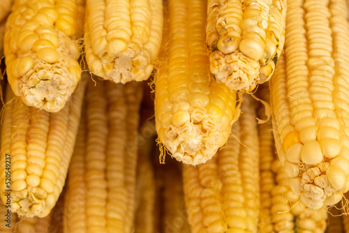 clean yellow corn, together sorted, sale in the city of Khulo, Georgia.  photo