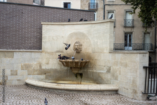 View of pigeons splashing in the ancient stoned fountain in the street