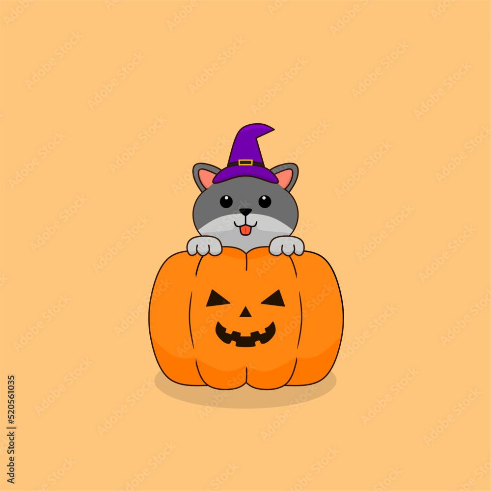 halloween pumpkin halloween pumpkin