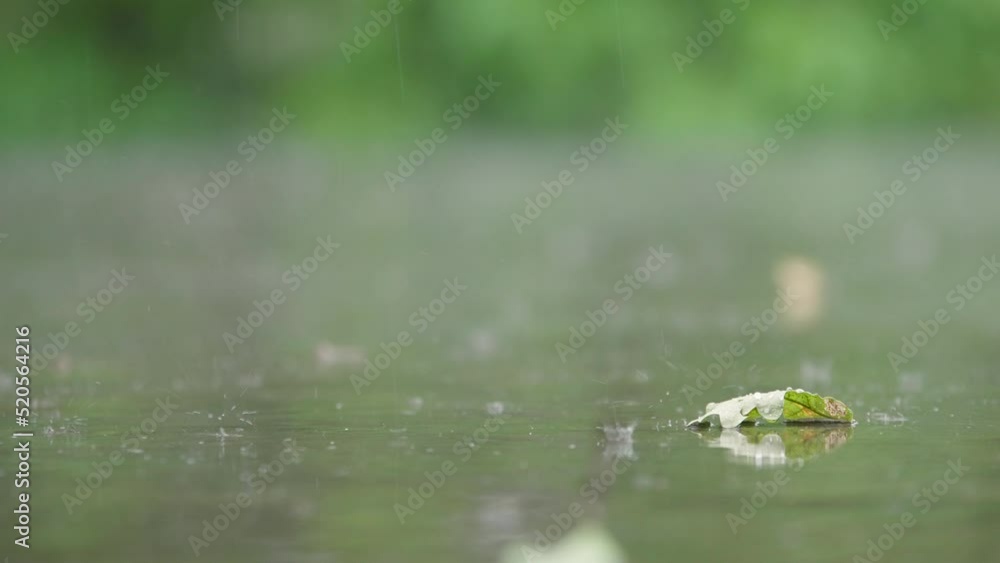 Summer rain drops falling on terrace floor with reflecting garden Summer rain drops falling on terrace floor with reflecting garden