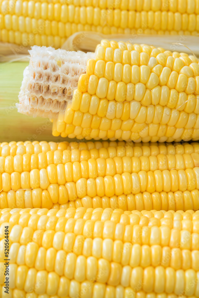 Closeup Yellow Corn, sweet corn, yellow corn background, healthy organic food, bio nutrition Closeup Yellow Corn, sweet corn, yellow corn background, healthy organic food, bio nutrition