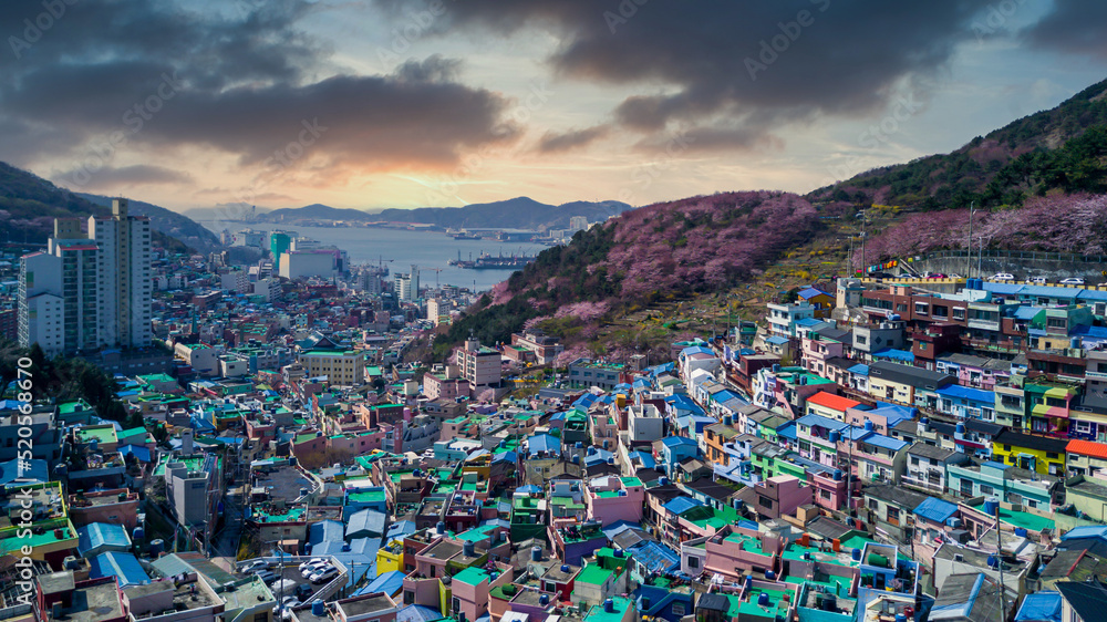Gamcheon Culture Village, Aerial view Colorfull mountain village in Busan City, Busan, South Korea.