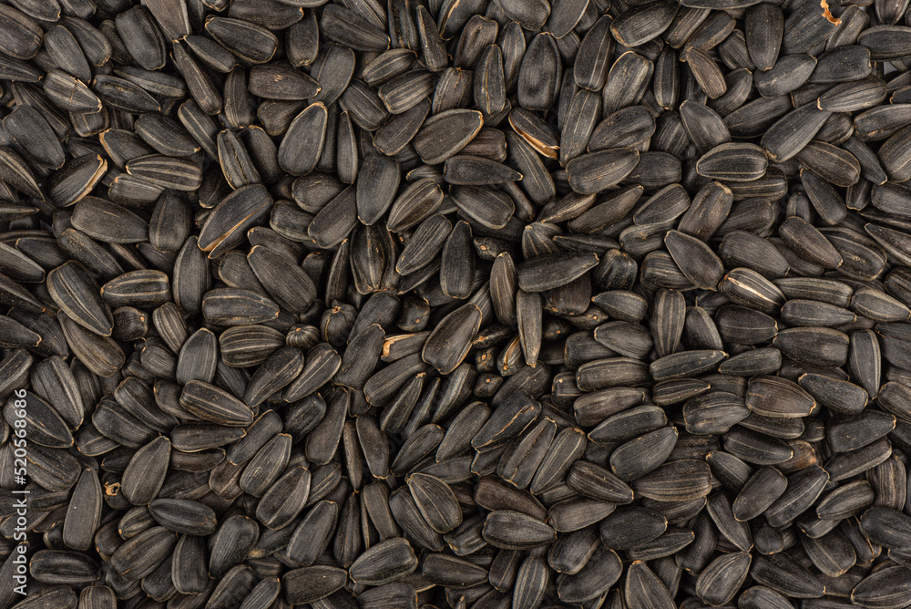 Full frame of black unshelled sunflower seeds, top view. Full frame of black unshelled sunflower seeds, top view.