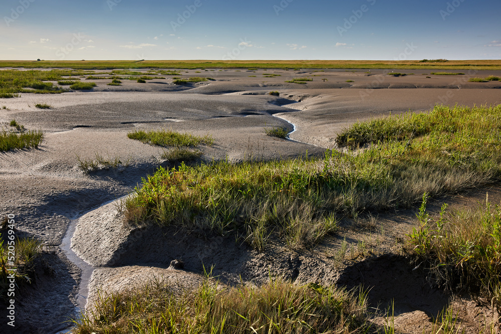 Priellandschaft im Wattenmeer