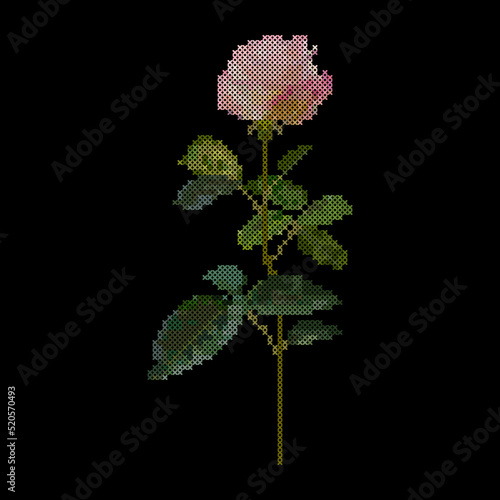 Cross stitch rose flower. Floral embroidery pattern, vector illustration