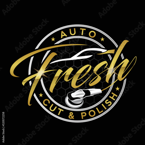 Gold and silver auto cut and polish service circular logo